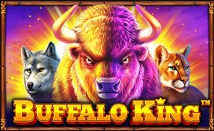 BUFFALO KING