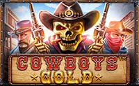 http://178.128.53.138/demo-cowboys-gold/