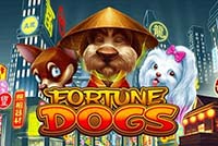 DOG FORTUNE