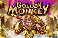 GOLDEN MONKEY